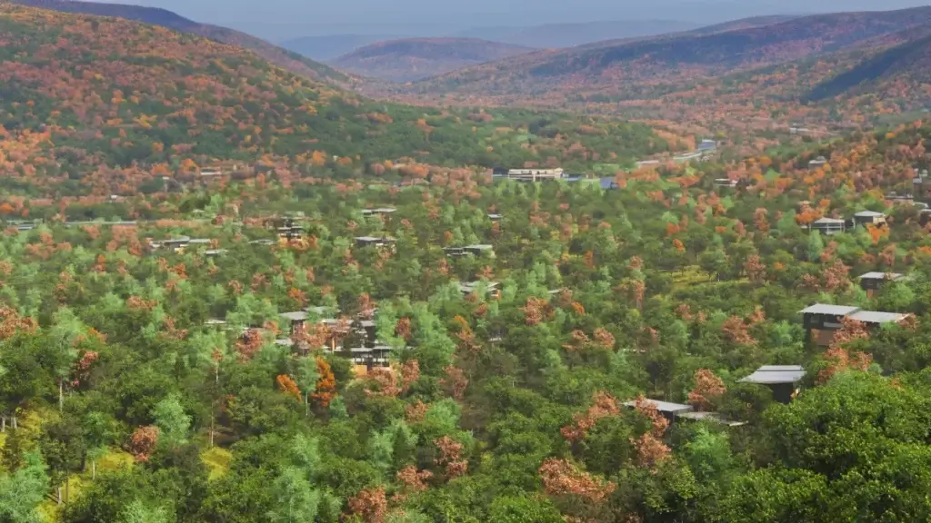 Aerial view of the Hudson Valley zero-emission residential community in a forested New York landscape